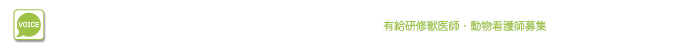 研修医プログラム修了者の声